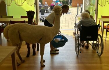 04.09.2024 – Besuch der Alpakas 🦙☀️